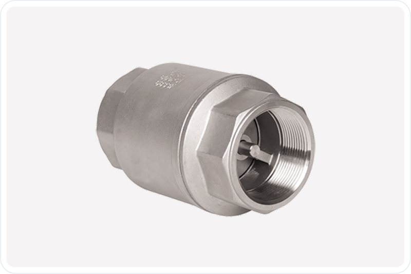 Check Valves