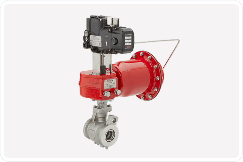 Globe Valves