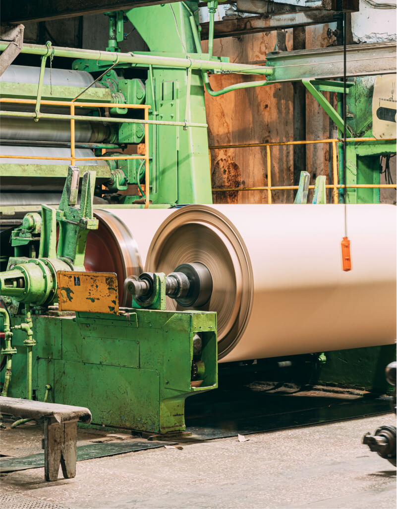 paper mill plant